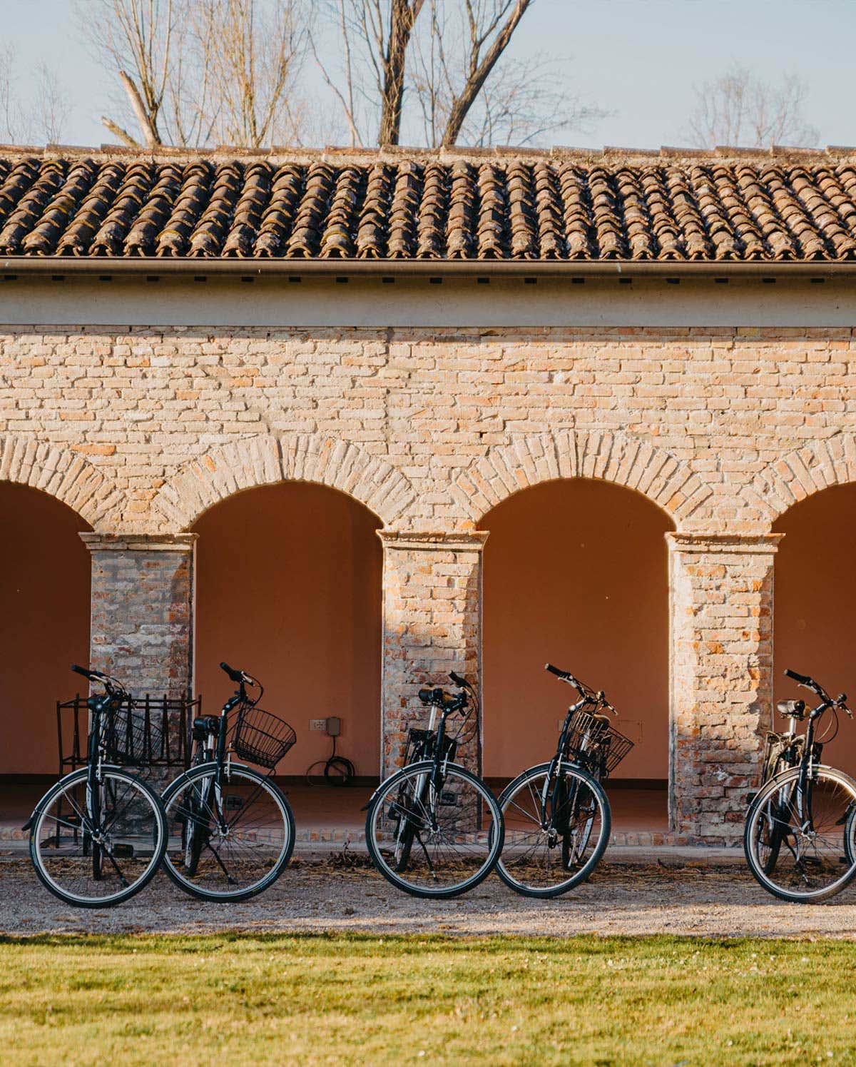 E-bike rental in the Po Delta Park with tasting