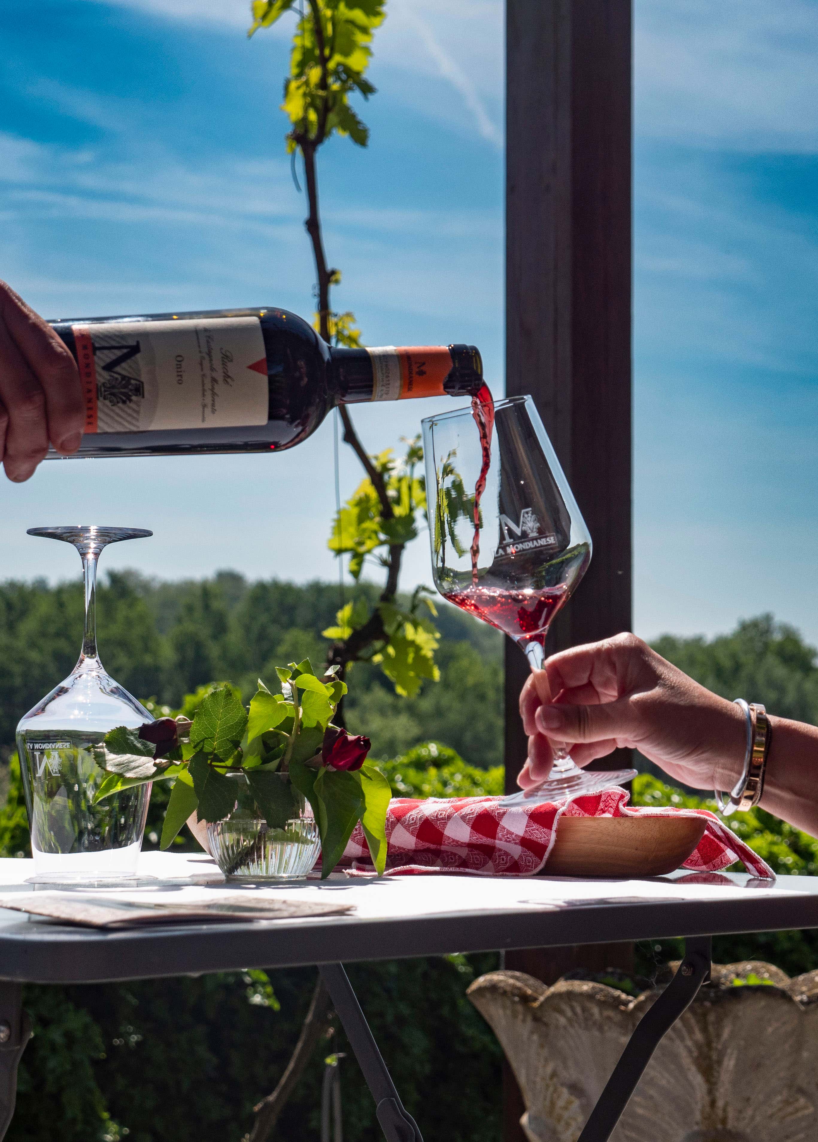 Degustazione di 5 vini e visita in cantina nel Monferrato