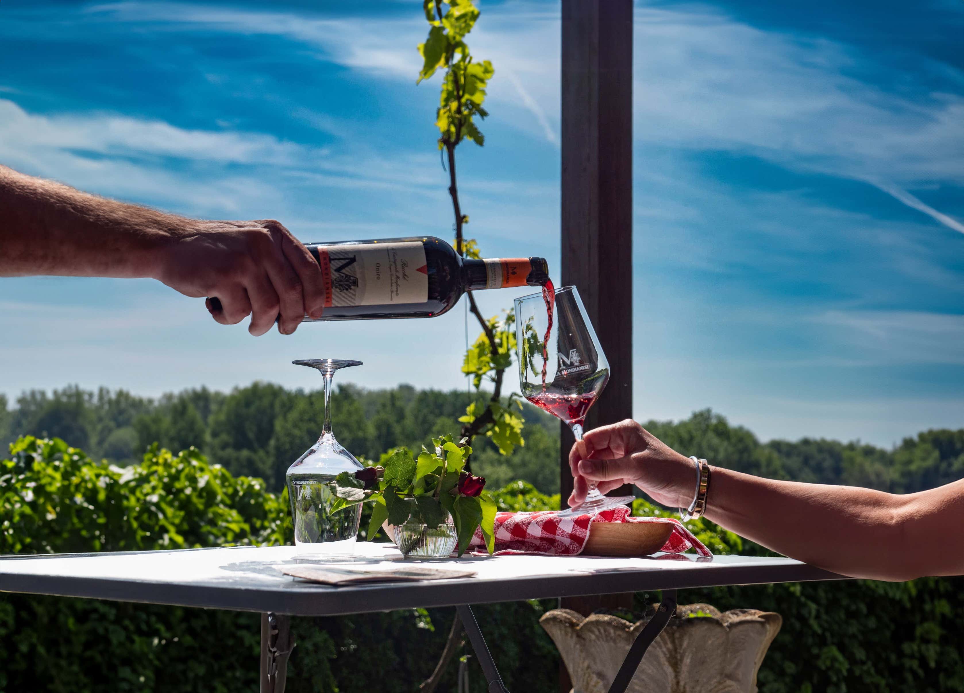 Degustazione vini, visita in cantina e passeggiata in vigna nel Monferrato