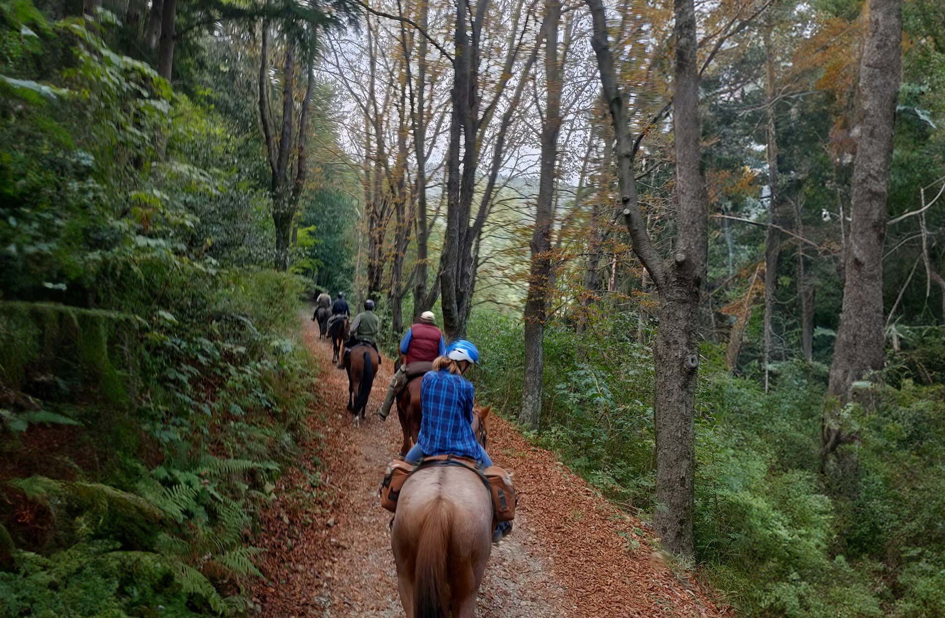 Passeggiata a cavallo con pranzo o cena in provincia di Biella