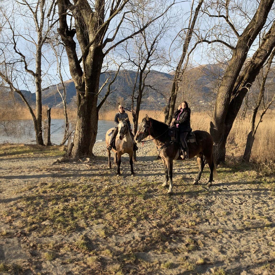 Passeggiata a cavallo di 2 ore a Colico Freedome