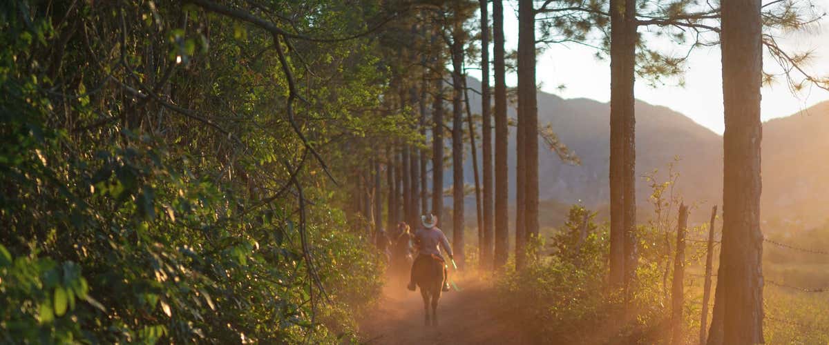 Moonlight horseback riding in the Veio Park