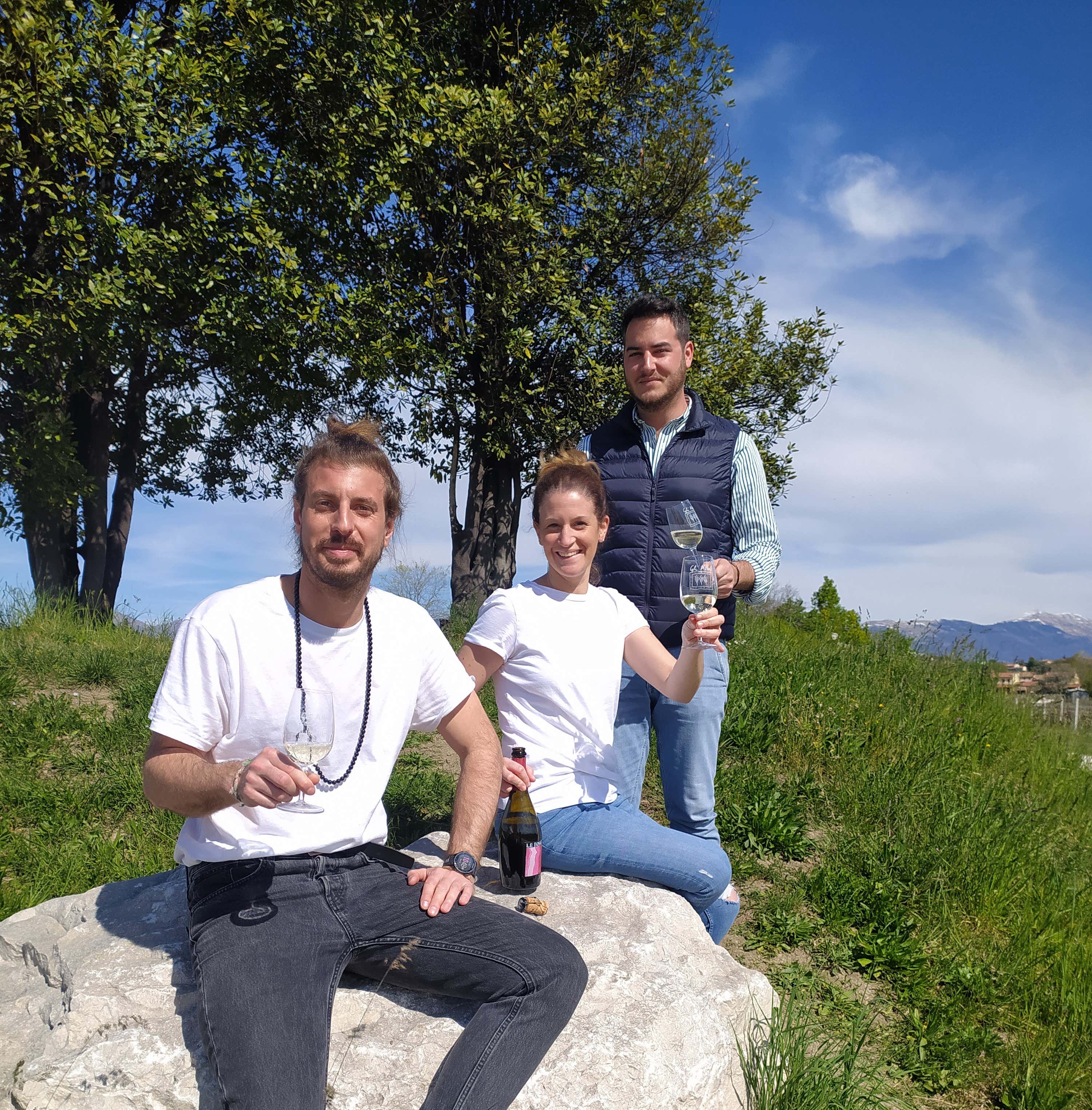 Degustazione di 6 vini e passeggiata in vigna tra le colline del Prosecco