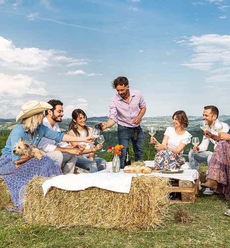 Passeggiata con alpaca sulle colline delle Langhe e picnic