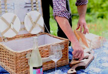 Passeggiata con alpaca sulle colline delle Langhe e picnic