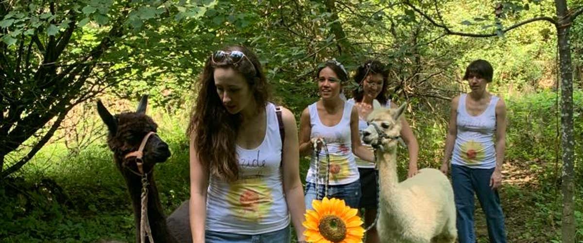 Passeggiata con alpaca sulle colline delle Langhe e picnic
