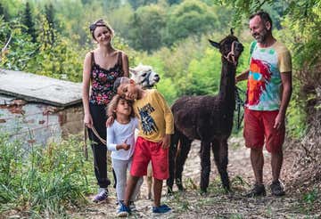 Passeggiata con alpaca sulle colline delle Langhe
