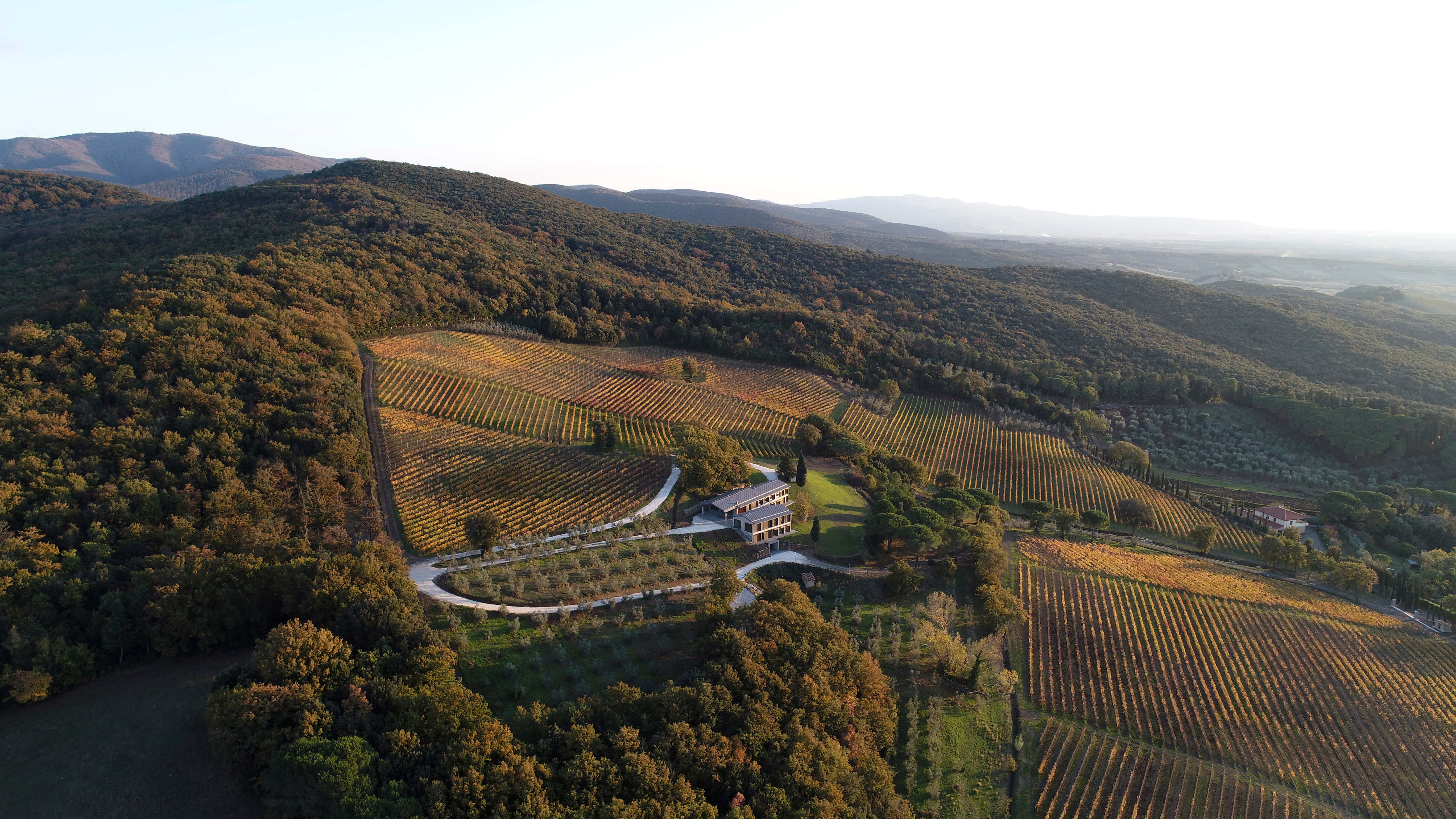 Degustazione di 5 vini e visita in cantina a Casale Marittimo