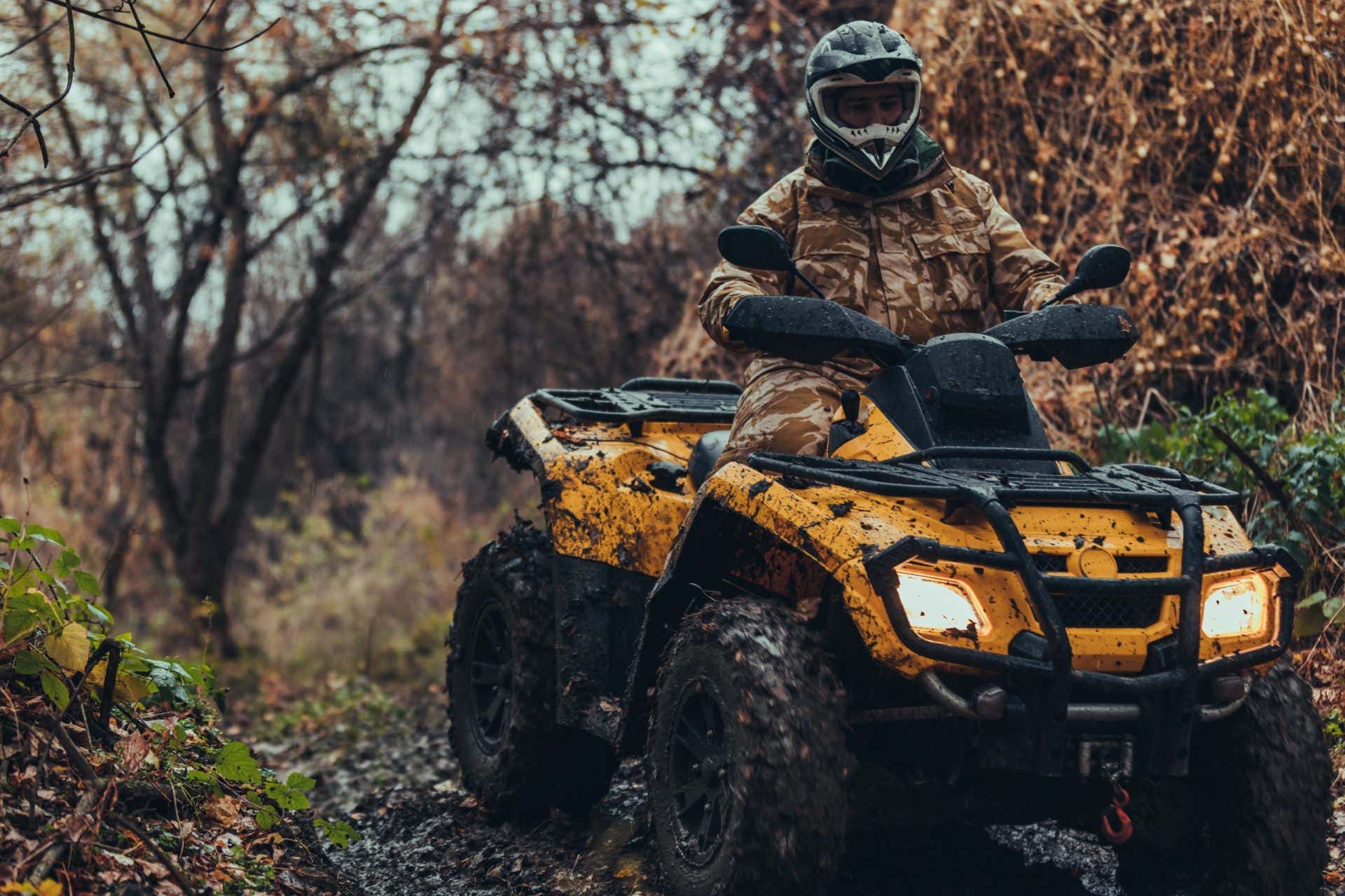 Tour panoramico in quad in provincia dell'Aquila