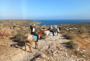 1-hour horseback ride in Cagliari and tasting of typical products
