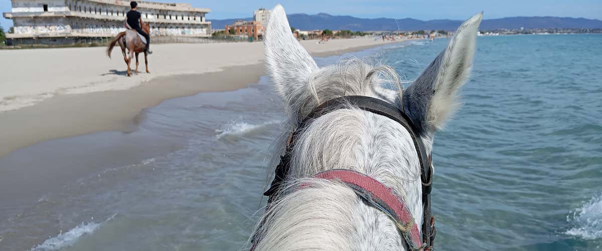 Passeggiata a cavallo di 2 ore a Cagliari con degustazione di prodotti tipici