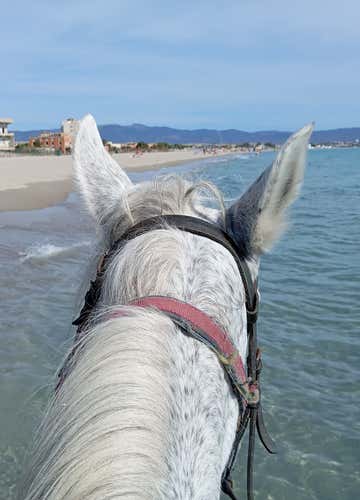 2-hour horseback ride in Cagliari with tasting of typical products