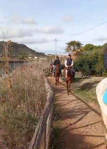 1-hour horseback ride in Cagliari and tasting of typical products