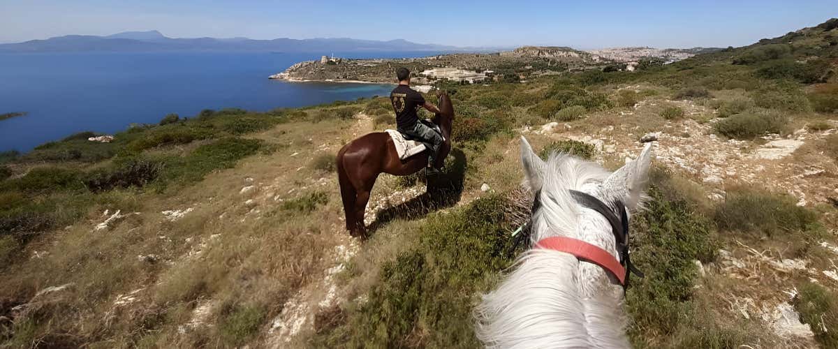 Passeggiata a cavallo nel Parco del Molentargius a Cagliari