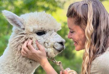 Trekking with alpacas and llamas in the province of Florence