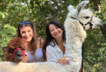 Trekking with alpacas and llamas in the province of Florence