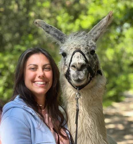 Trekking with alpacas and llamas in the province of Florence