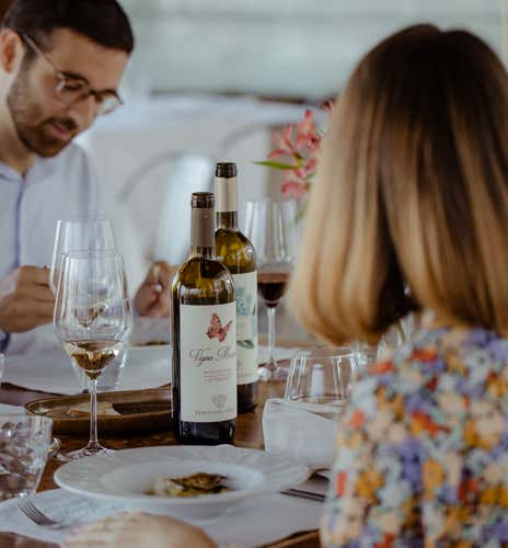 Dinner with wine pairing on a panoramic terrace in the Marche hills
