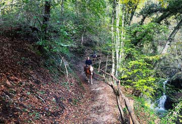 Passeggiata a cavallo di 1 ora e mezza in Val Brembana con degustazione 