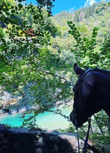 Passeggiata a cavallo di 1 ora e mezza in Val Brembana con degustazione 