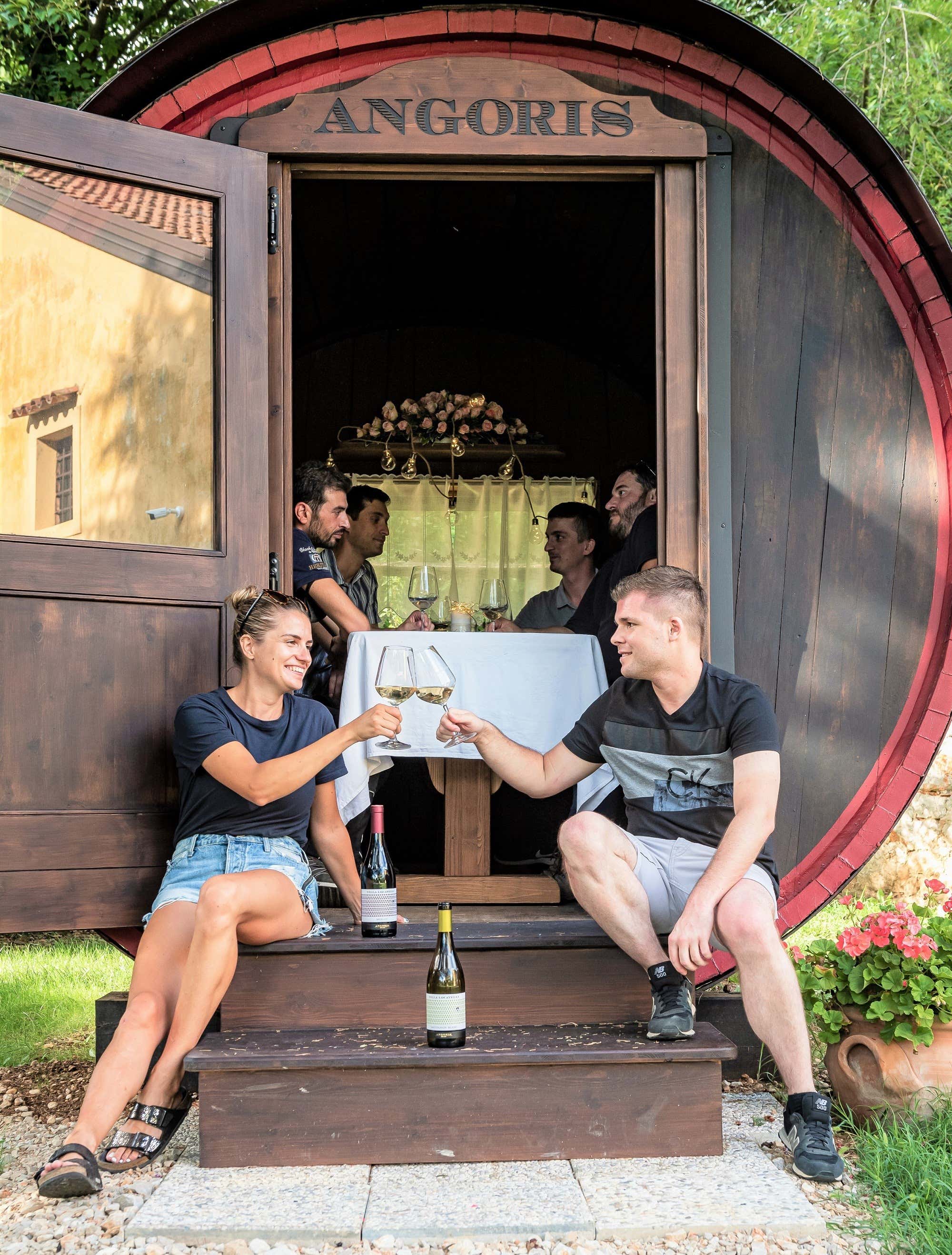 Degustazione di vini esclusiva in botte e visita in cantina vicino Gorizia