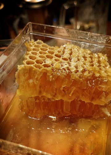 Beekeeper for a day and honey and cheese tasting in the province of Varese