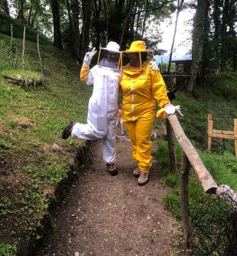 Beekeeper for a day and honey and cheese tasting in the province of Varese