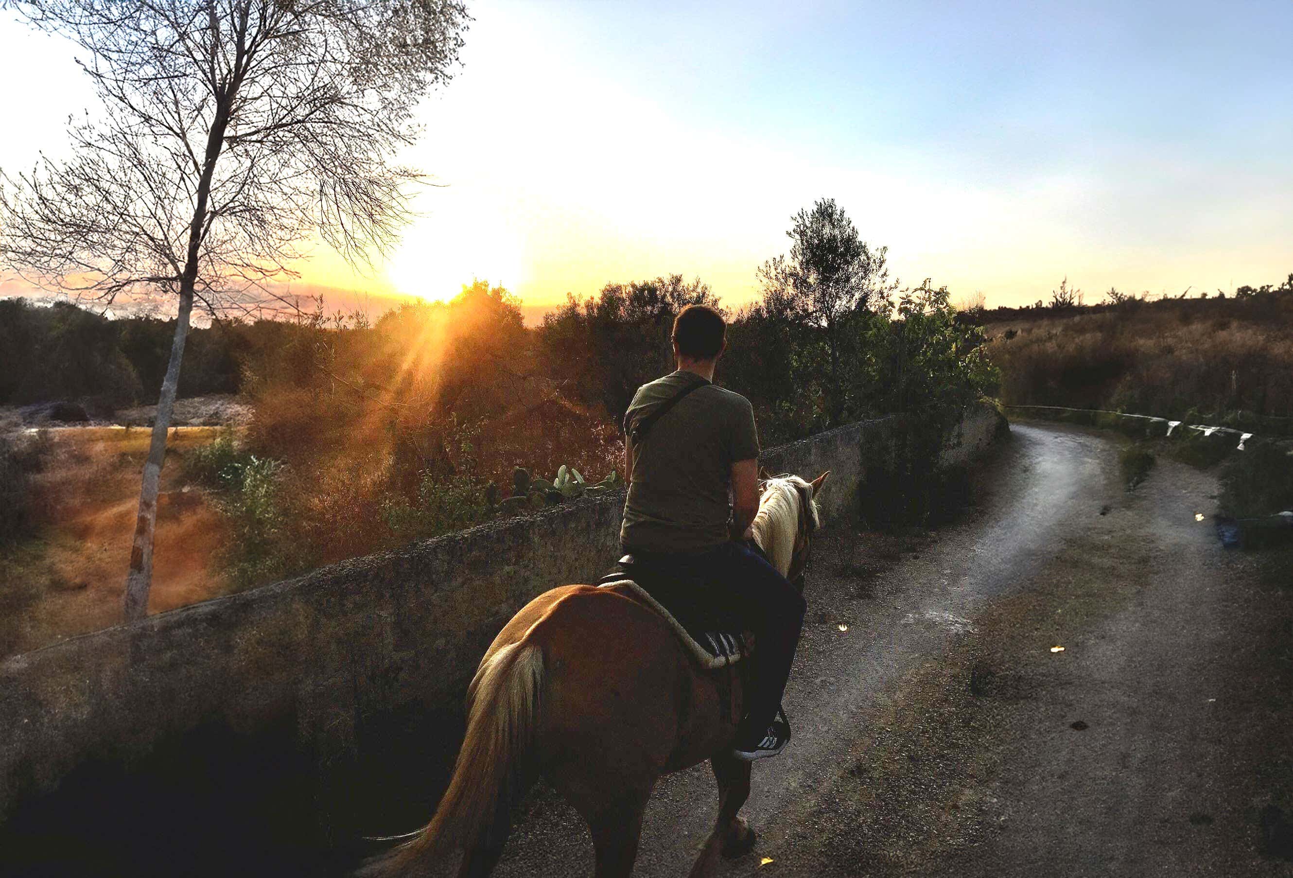 Passeggiata a cavallo nelle campagne del Salento