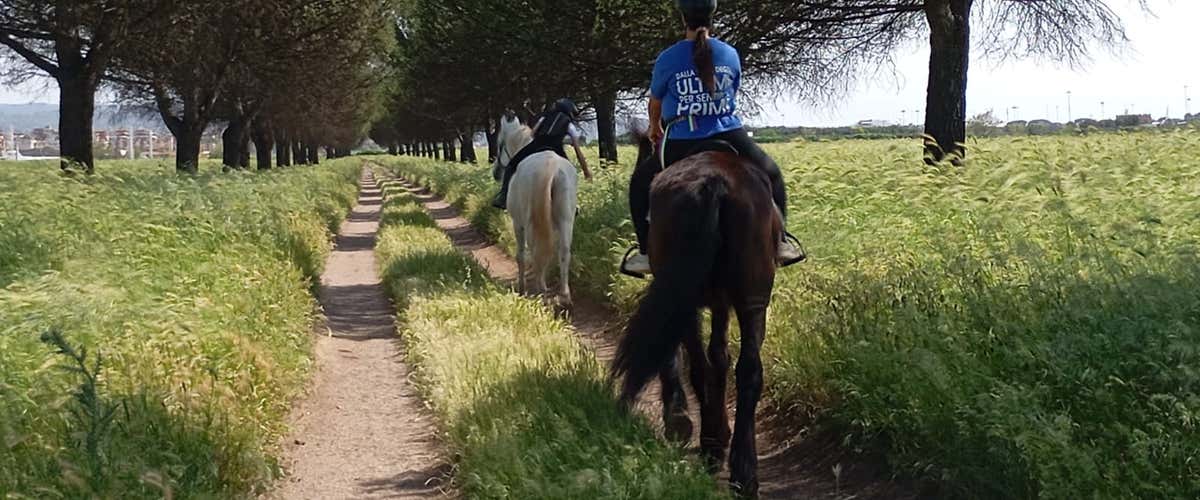 Horseback riding in the Roman countryside
