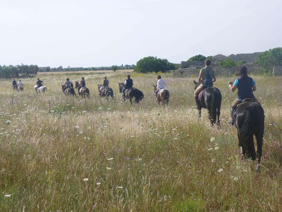 Passeggiata a cavallo nell’entroterra salentino