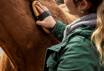 Horse riding in nature near Como
