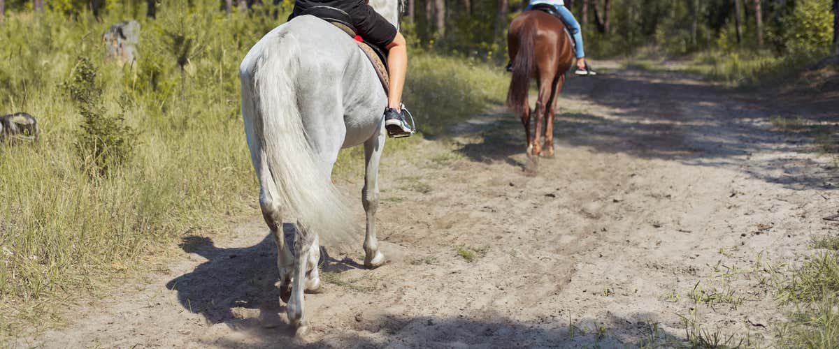 Horse riding in nature near Como