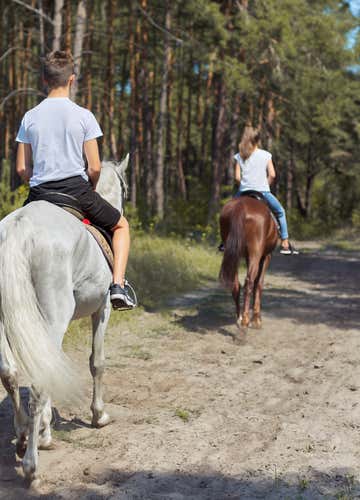 Horse riding in nature near Como