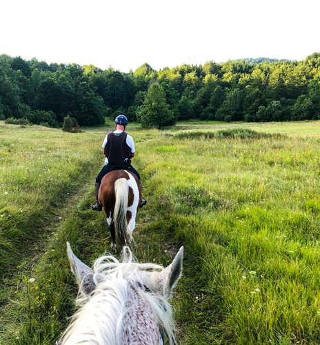 Horse riding in nature near Como