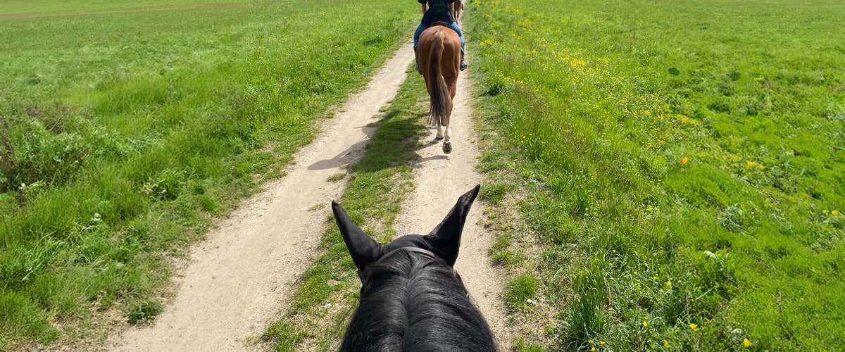 Horse riding in nature near Como