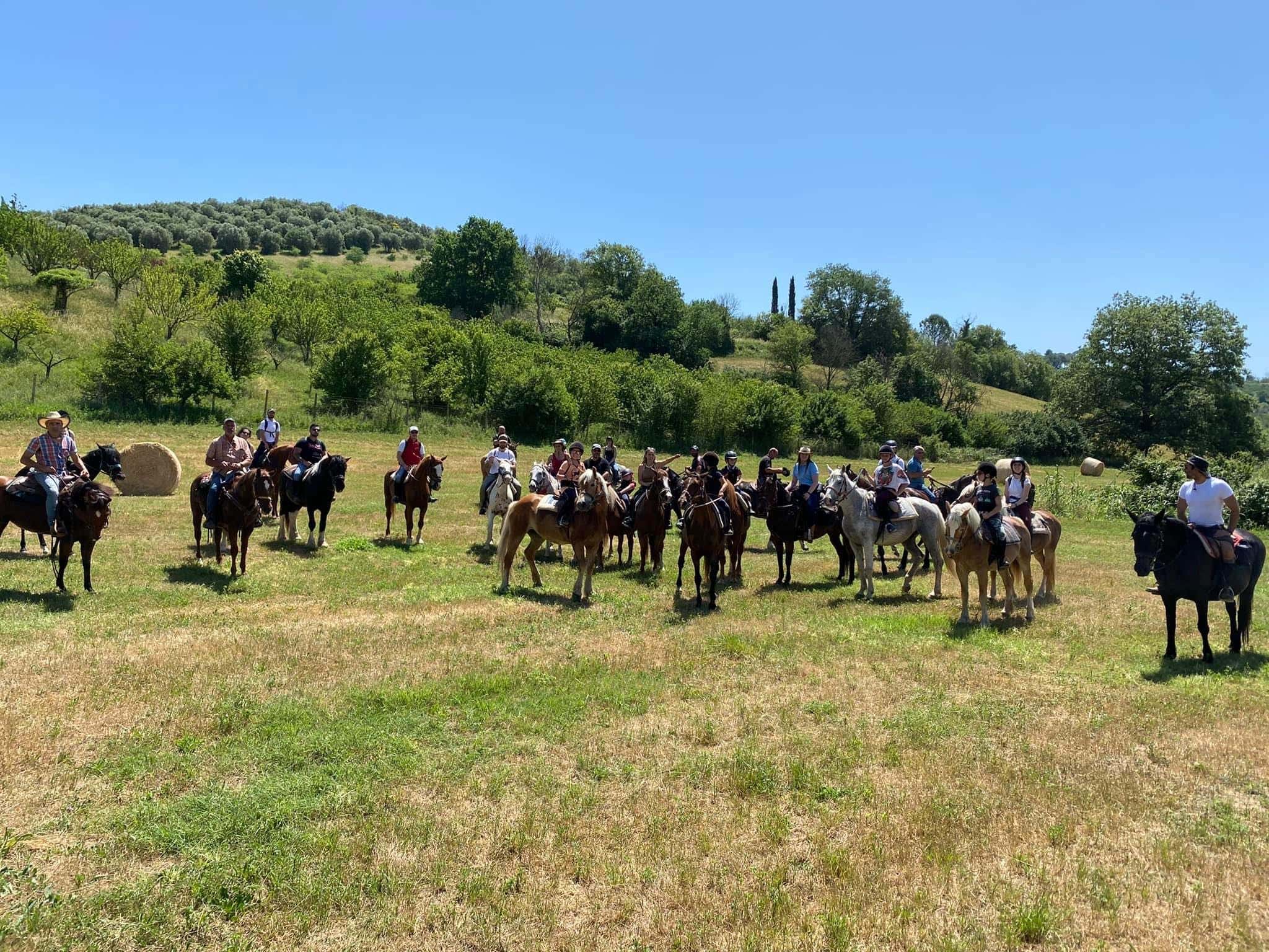 Passeggiata a cavallo tra le campagne di Mentana in provincia di Roma