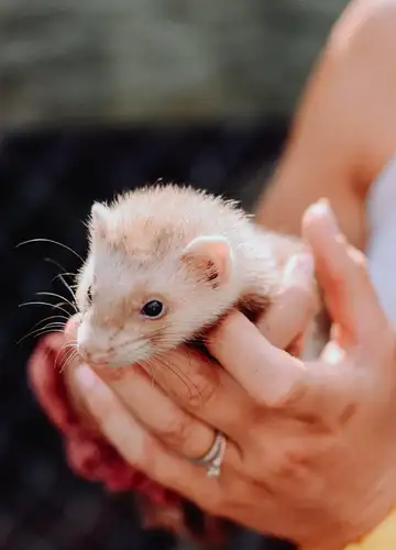 Visita in fattoria in provincia di Alessandria
