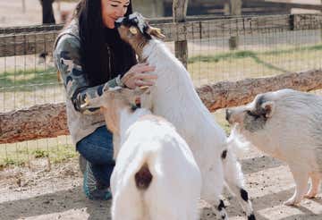 Visita in fattoria in provincia di Alessandria
