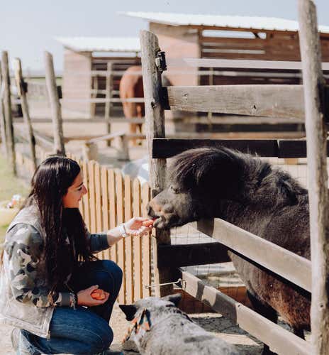Visita in fattoria in provincia di Alessandria