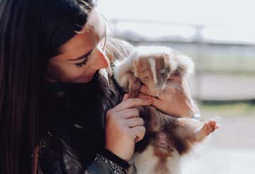 Visita in fattoria in provincia di Alessandria