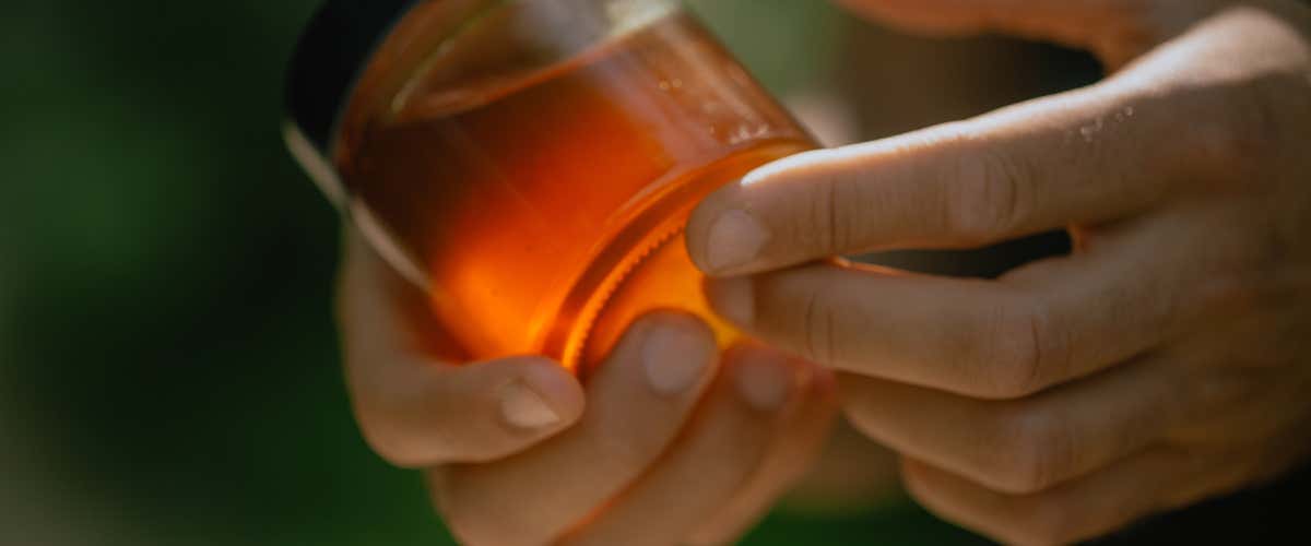 Beekeeper for a day in Fabriano in the province of Ancona