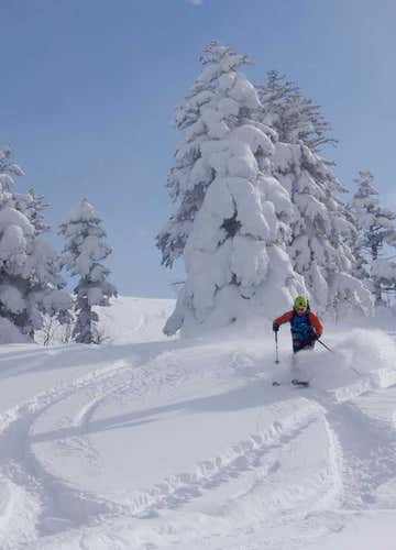 Giornata Freeride con Guida ad Alagna Valsesia (VC)