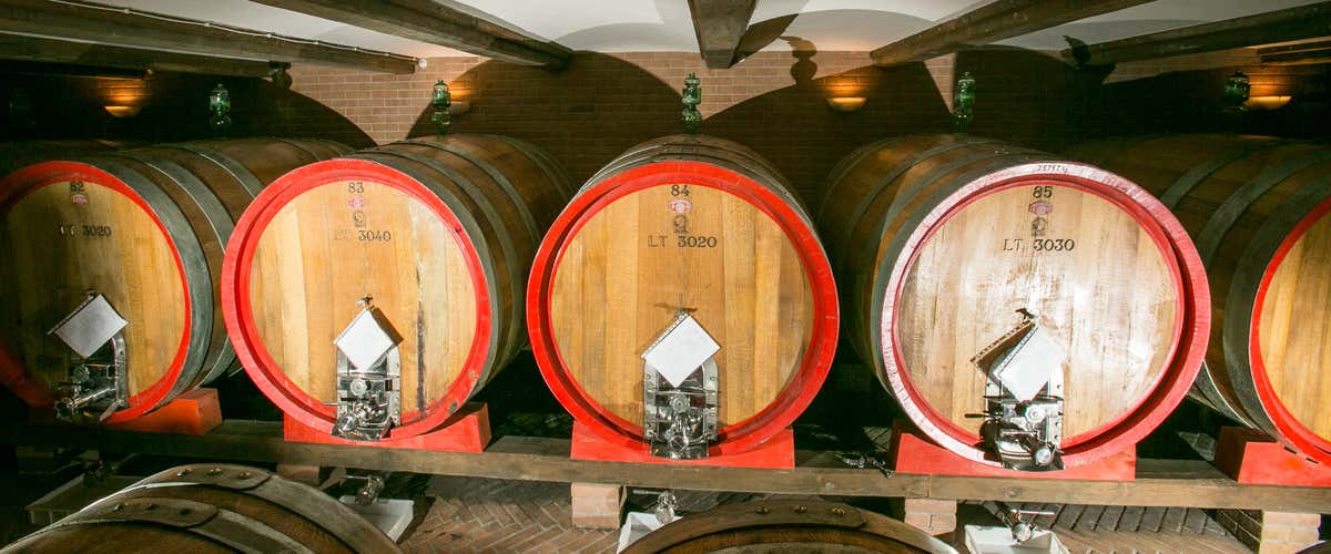 Degustazione di 4 vini Nebbiolo a Verduno nelle Langhe