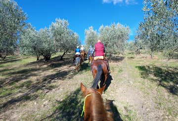 Passeggiata a cavallo tra le campagne del Sagrantino 