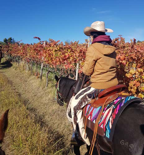 Passeggiata a cavallo tra le campagne del Sagrantino 
