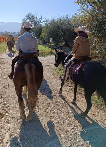 Passeggiata a cavallo tra le campagne del Sagrantino 