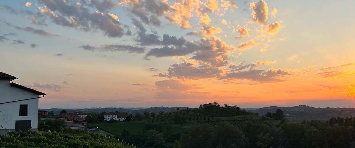 Wine tasting and vineyard visit in the province of Asti