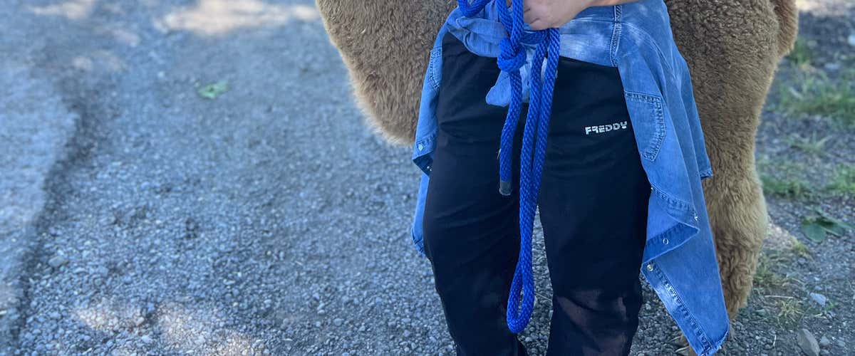 Walk with alpacas and wine tasting in the Tortonese hills