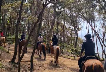 Horse trekking in the Bandite di Scarlino Natural Reserve