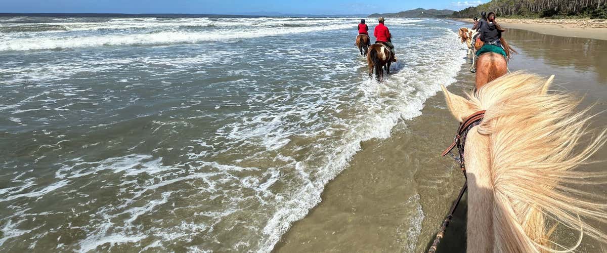 Horse trekking in the Bandite di Scarlino Natural Reserve with a stop in Cala Violina